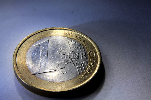 mince jedno euro.jpg